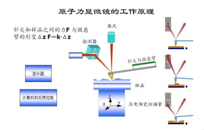 59问答网友