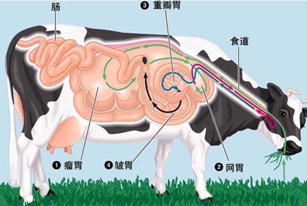 59问答网友